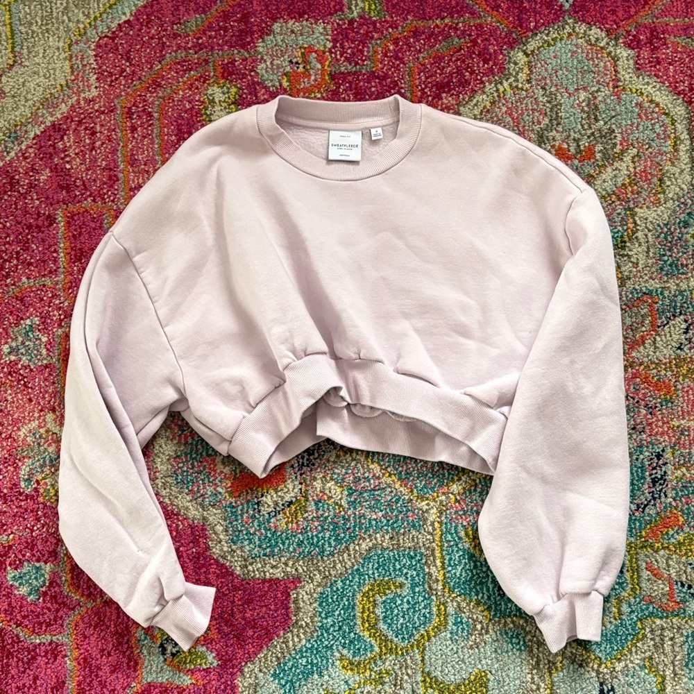 Aritzia Cropped Sweatfleece Mega Fit Sweatshirt